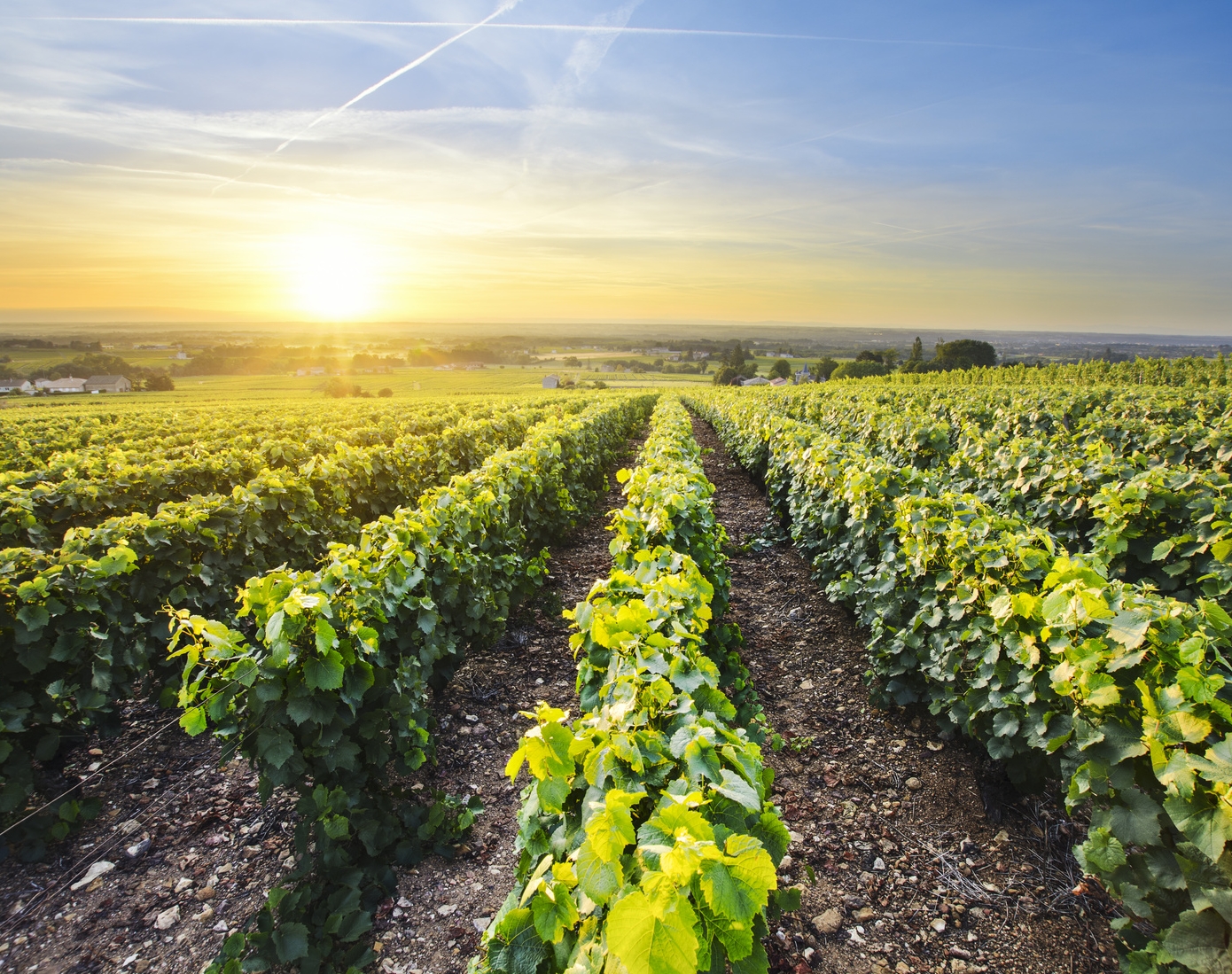 Agence événementielle séminaires & incentives dans le Beaujolais